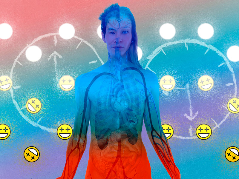 LSD in Organism How Long Stays