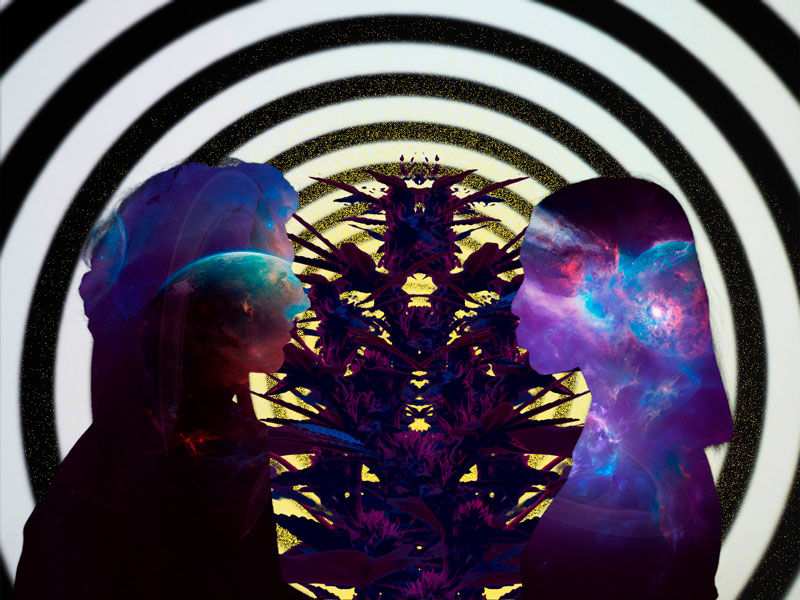 Psychedelic Couple and Weed Plant