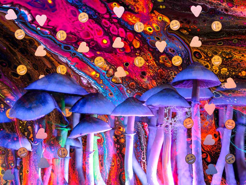 Mushrooms and Types of Psychedelics