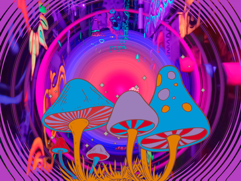 Mushrooms and Psychedelic Wave