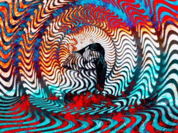 Psychedelic Trip and Woman